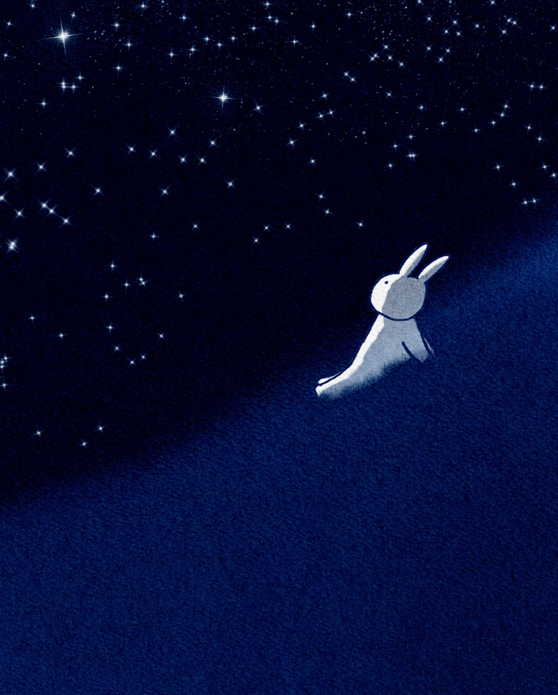 Night Grassland · Counting Star