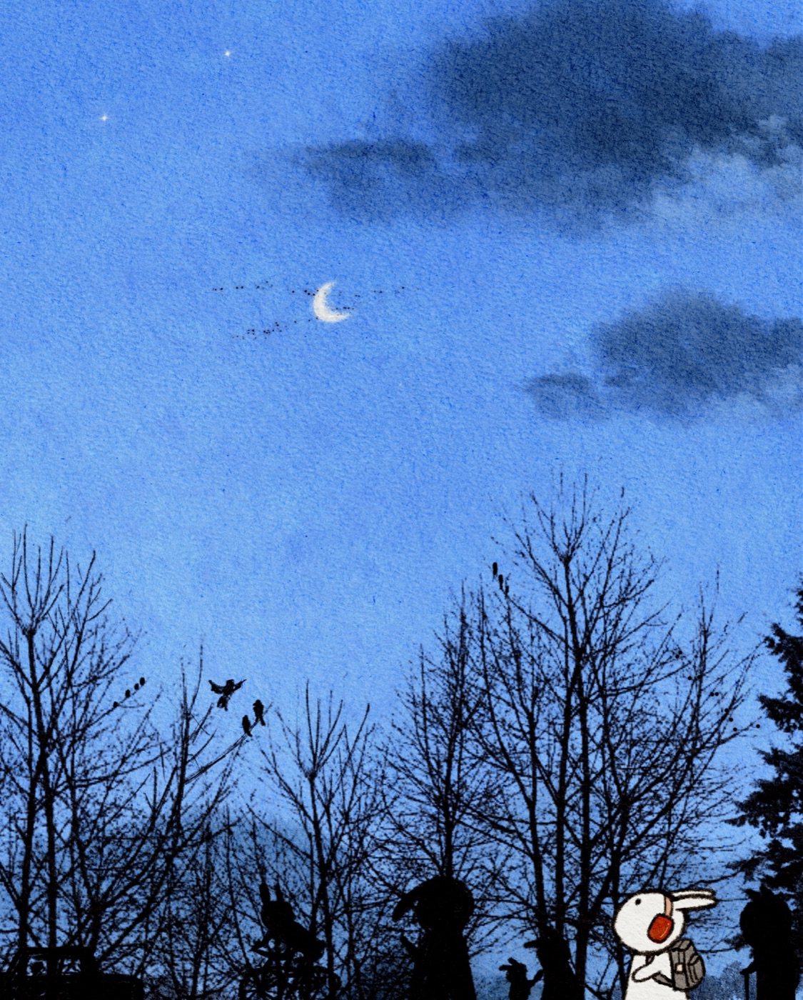 Look Up at the Sky