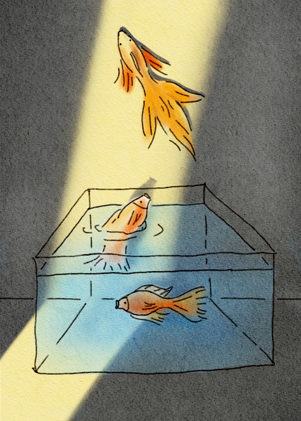 Fish in the Air