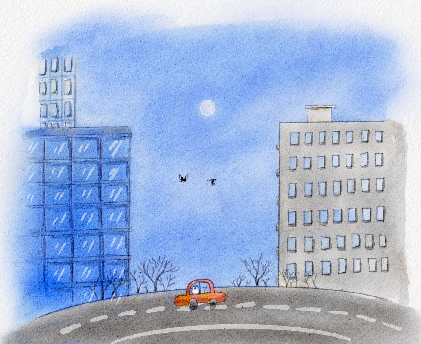 Moon