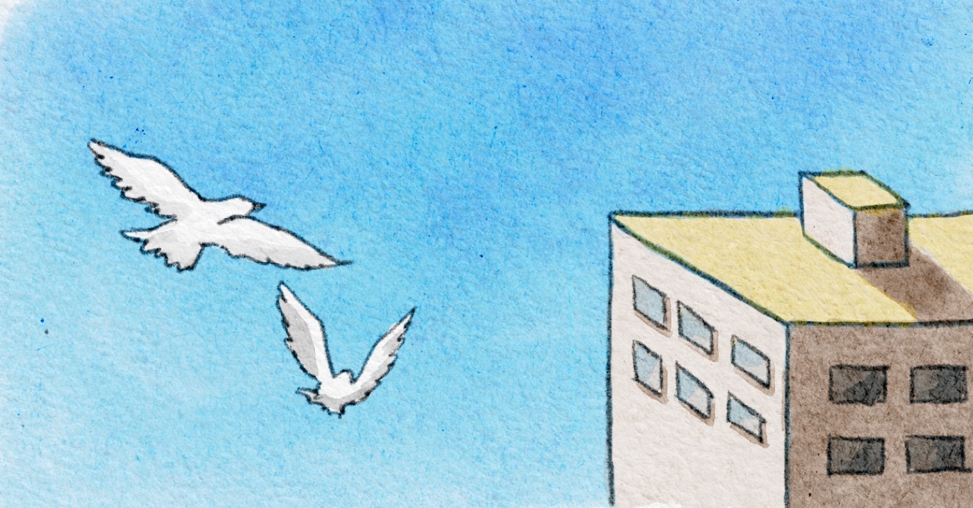 Blue Sky, White Doves