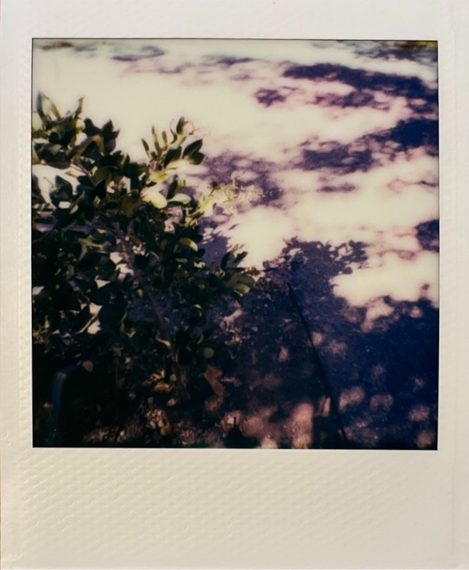 Stanford 6