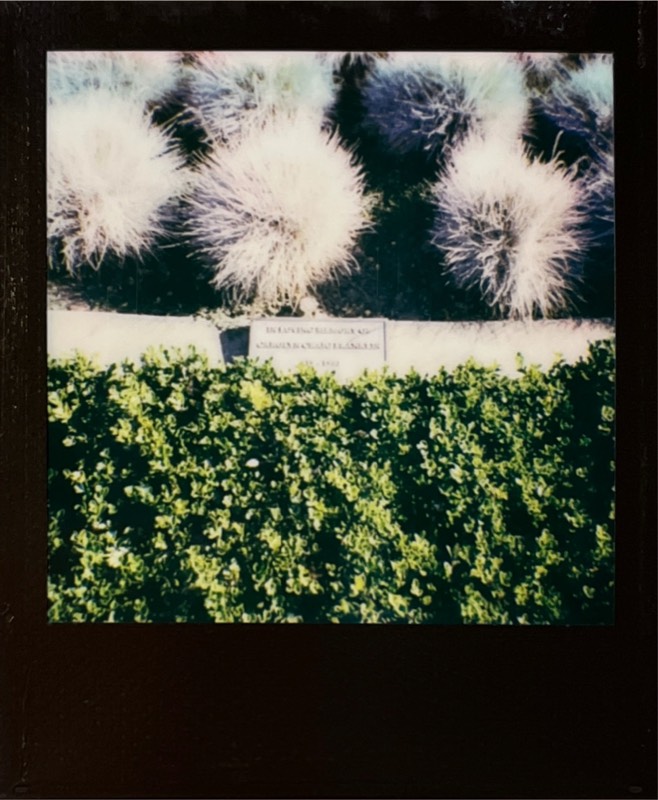 Stanford 8